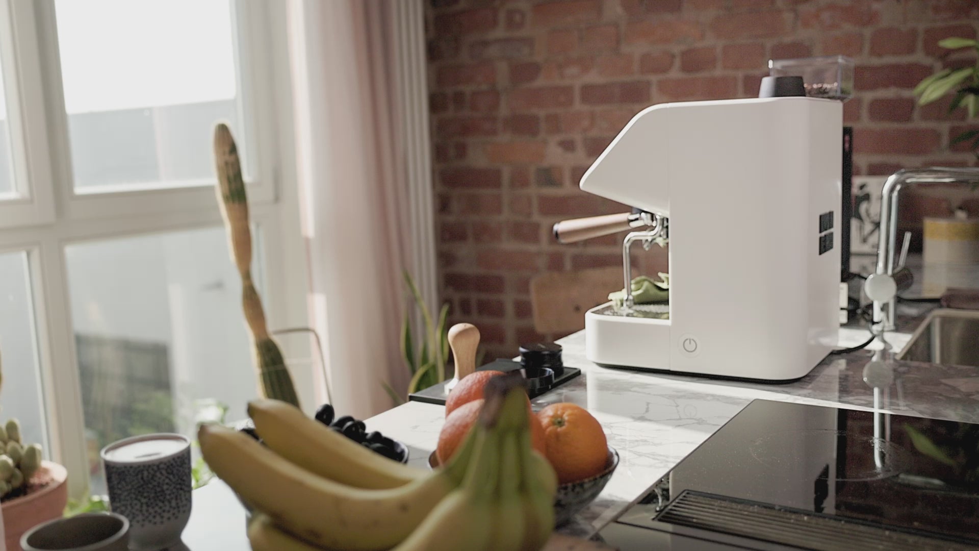 MARO Model 1 – MARO Coffee Engineering